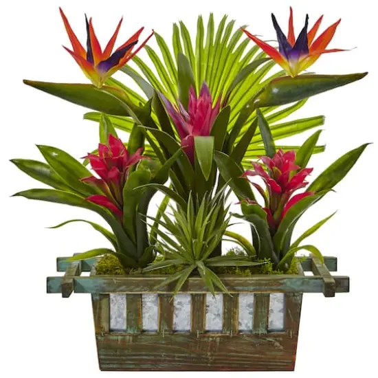 19" Bird of Paradise & Bromeliad in Wooden Planter {1}