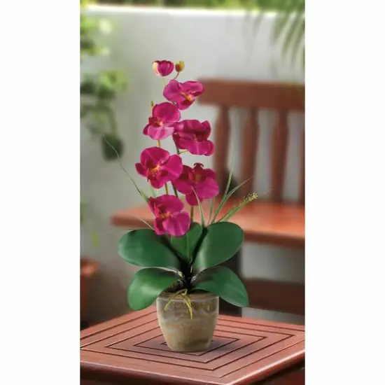 21" Moth Orchid Flower Arrangement in Ceramic Pot Beauty {5}