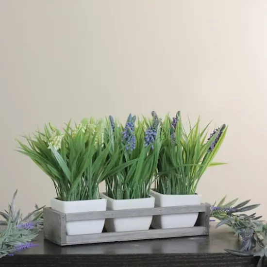 9.5" Lavender in White Pots with Wood Tray {3}