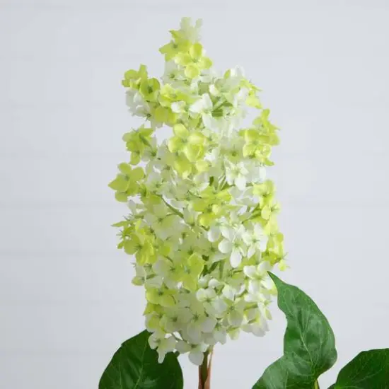 36" White Lilac Flower Stems, 3ct. {6}