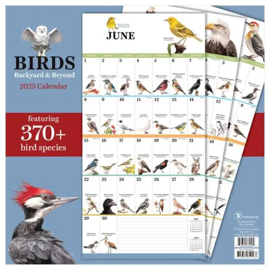 TF Publishing 2025 Birds: Backyard & Beyond Wall Calendar {3}