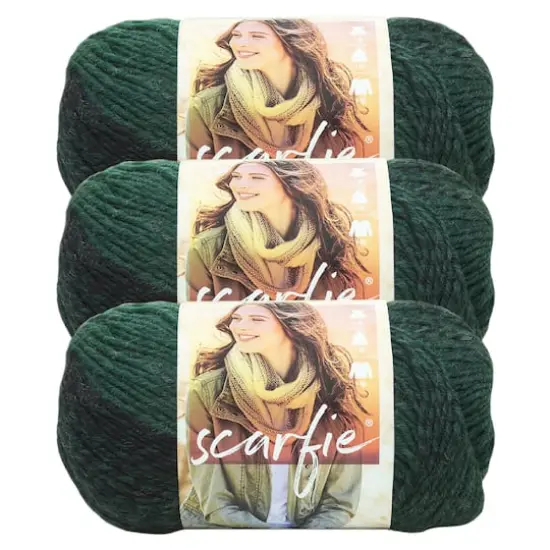 3 Pack Lion Brand&reg; Scarfie&reg; Yarn Forest/Black {1}