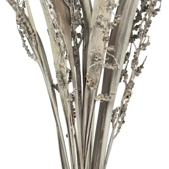Dried White Wash Bahia Spears Bunch with Seeds, 2ct. {4}