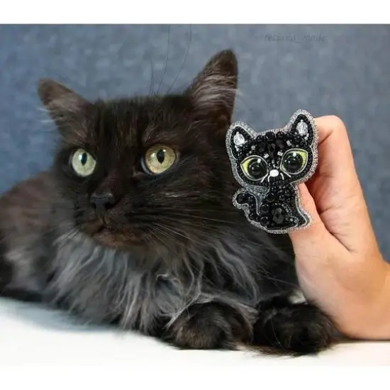 Crystal Art Beadwork Kit For Creating Broоch Black Cat {7}