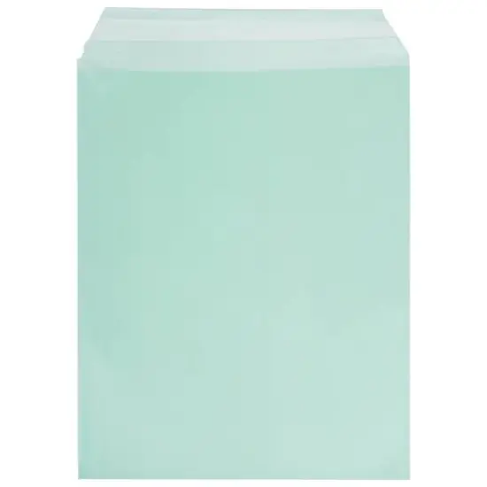 JAM Paper 8.93" x 11.25" Self Adhesive Closure Cello Sleeves, 100ct. Green {2}