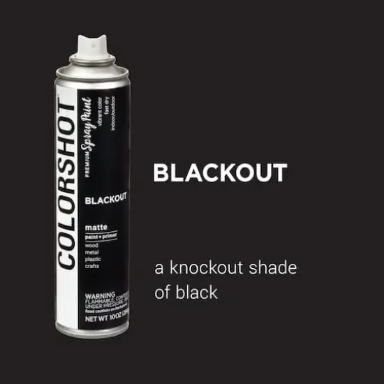 COLORSHOT&reg; Blackout Matte Spray Paint {3}