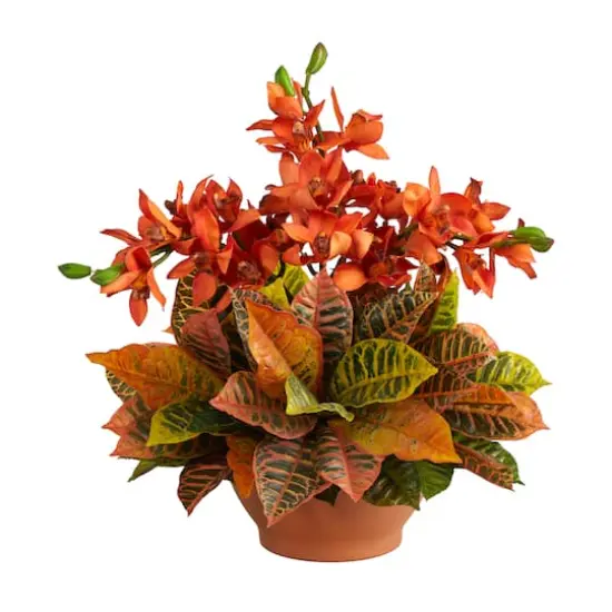 18" Boat Orchid & Croton Floral Arrangement in Terra Cotta Vase {1}