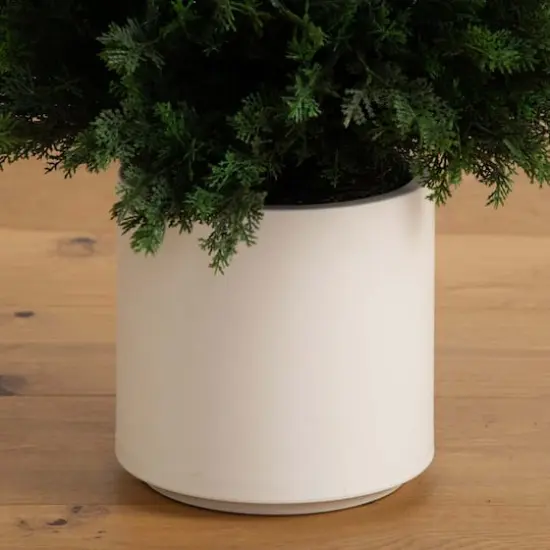 5ft. UV-Resistant Cedar Tree in White Planter {5}
