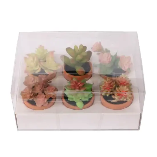 Mini Premade Succulents in Terra Cotta Pots, 6ct. by Ashland&reg; Light Green {1}