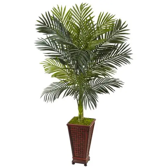 5ft. Golden Cane Palm Tree in Decorative Planter {1}
