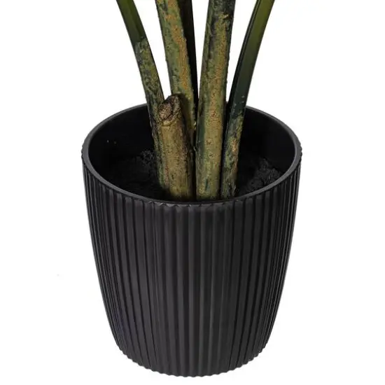 4ft. Potted Travellers Palm Tree {9}