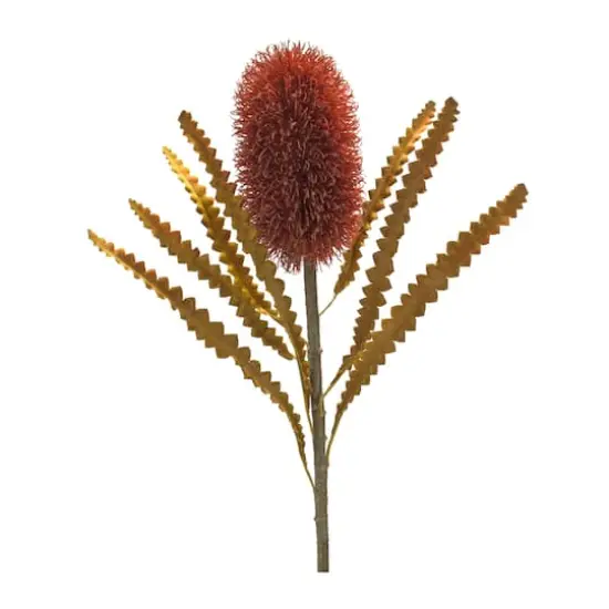 24" Burnt Orange Banksia Floral Stems. 6ct. {4}