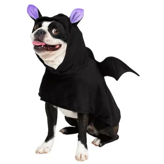 Bat Dog Costume by Ashland® {1}