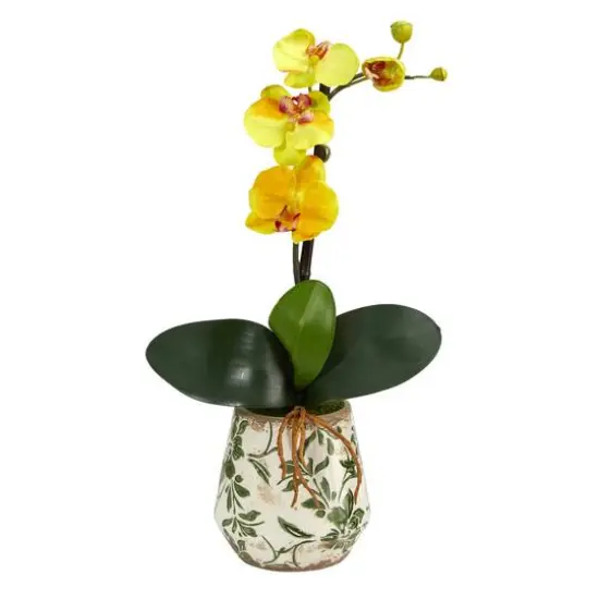 18" Mini Moth Orchid in Floral Vase {1}