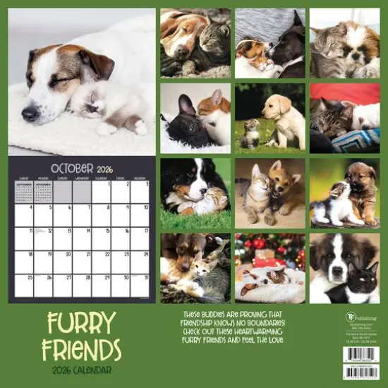 2026 Furry Friends Wall Calendar {6}