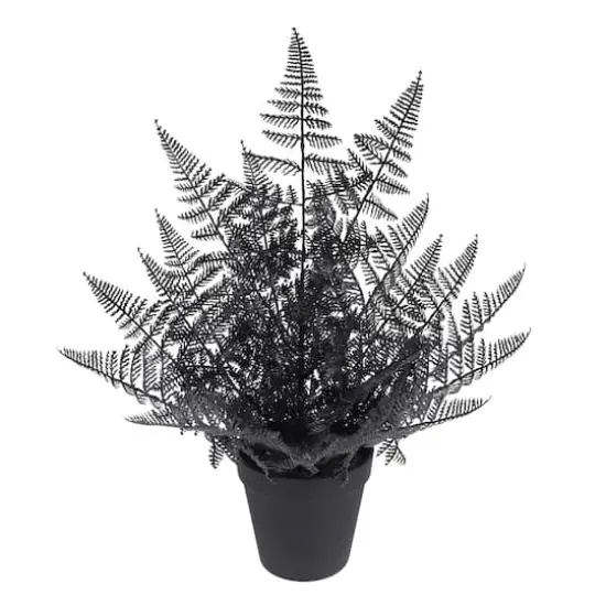 16" Black Fern by Ashland&reg; {1}