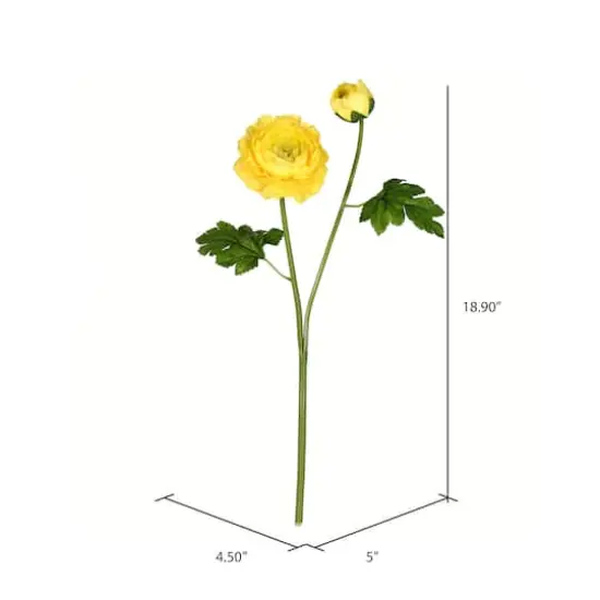 Yellow Ranunculus Stem, 6ct. {3}