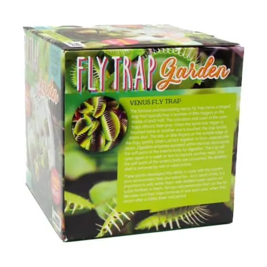 Glass Terrarium - Fly Trap Garden {5}