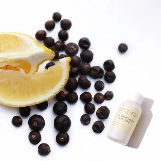 makesy Calabrian Lemon + Lilac Leaves Fragrance Oil {1}