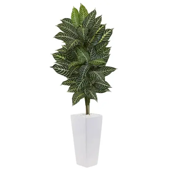 4ft. Zebra Plant in White Tower Planter {1}