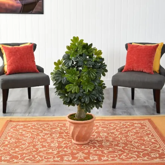 3.5ft. Umbrella Tree in Terra Cotta Planter {4}