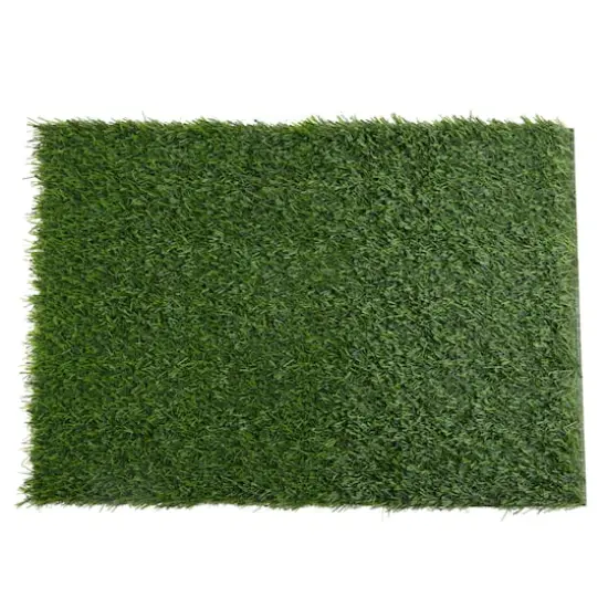 Green Grass Placemat by Celebrate It&trade; {1}
