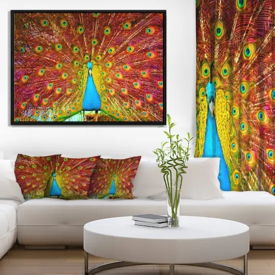 Designart - Peacock Dancing - Animal Photography Framed Canvas Art Black {6}
