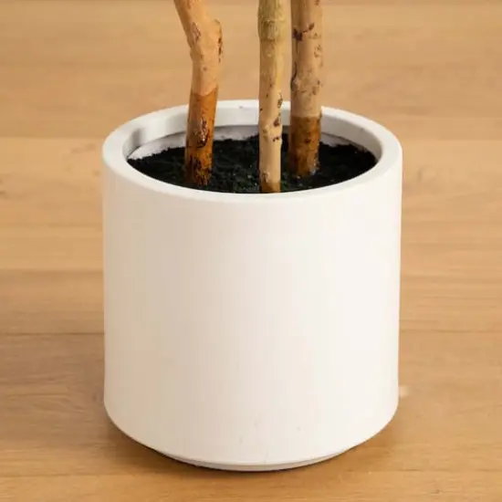 4ft. Fiddle Leaf Tree in Decorative White Planter {9}