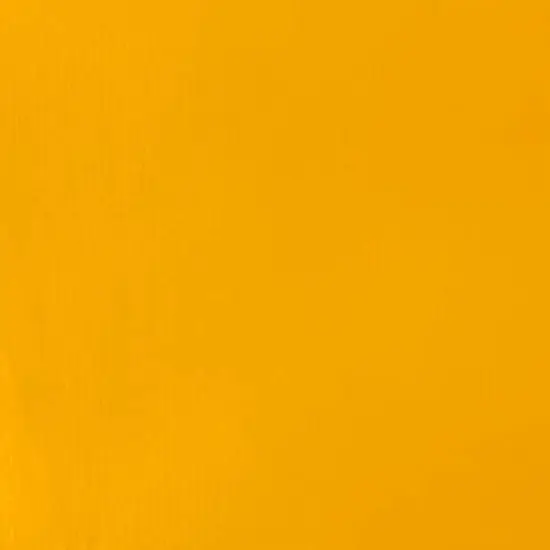 Liquitex&reg; Professional 2oz. Heavy Body Acrylic Paint 161 Cadmiun Yellow Medium {6}