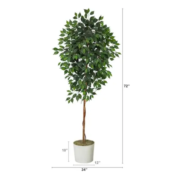 6ft. Ficus Tree in White Tin Planter {3}