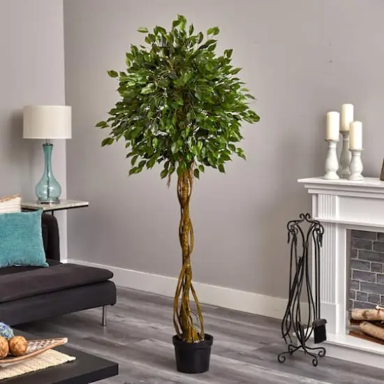 4ft. Potted Woven Trunk Ficus Tree {3}