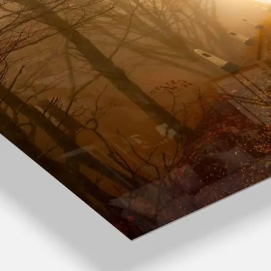 Designart Path To Sunlight In Autumn Forest Rectangular Wall Clock {4}