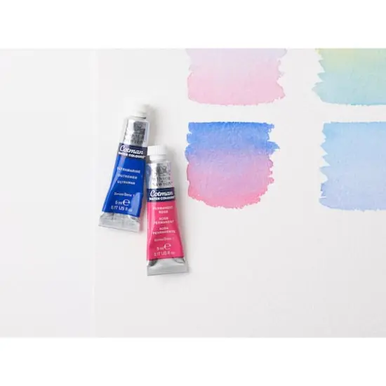 Winsor & Newton&trade; Cotman Water Colours&trade;10 Color Paint Set {8}