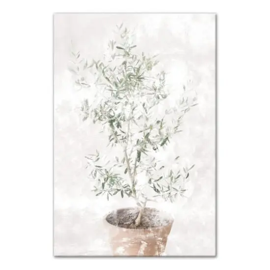 Washed Olive Tree 20" x 30" Canvas Wall Art {1}