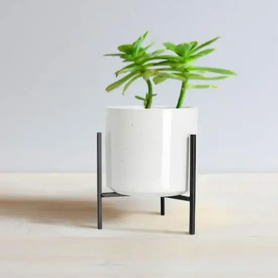 Hello Honey&reg; 8" White Stoneware Flower Pot with Black Metal Stand {4}
