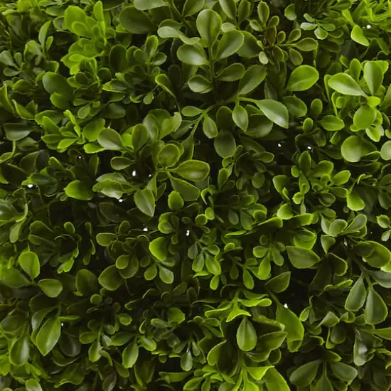 23" Potted Boxwood Ball Topiary {3}