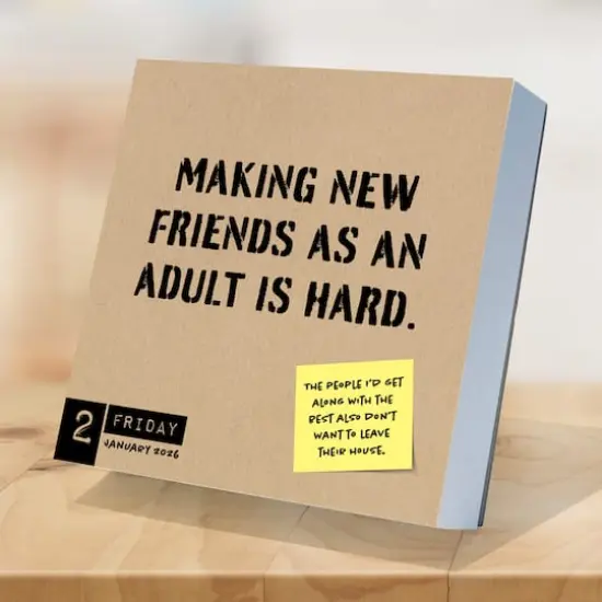 2026 Anti Affirmations/Daily Sarcasm Daily Desktop Calendar {4}