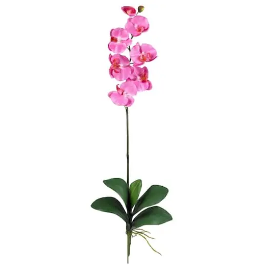 Dark Pink Moth Orchid Stem, 12ct. {1}
