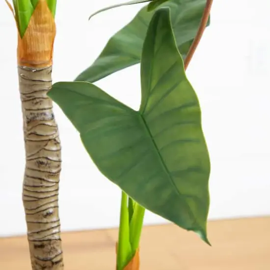 5.5ft. Arrowhead Philodendron in White Decorative Planter {4}