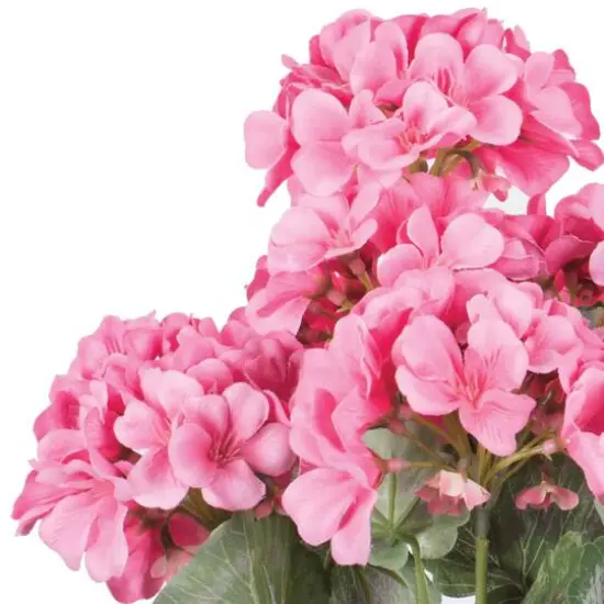 Artificial Coral Geranium Bush {7}
