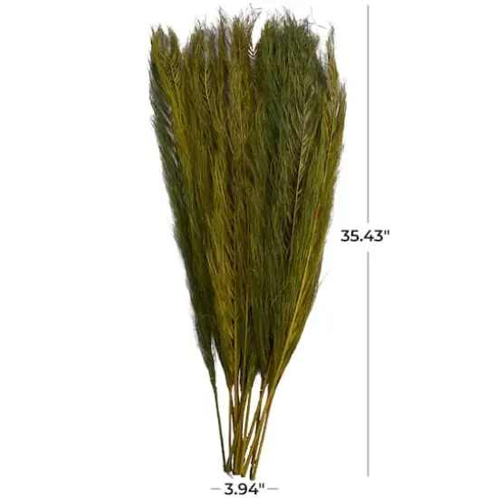 35" Natural Dried Palm Leaf Bundle with Feather-Inspired Stems Green {7}