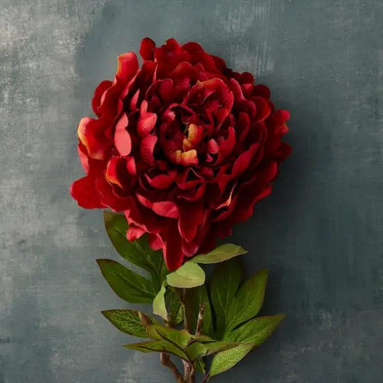 Jumbo Red Peony Stem by Ashland&reg; {3}