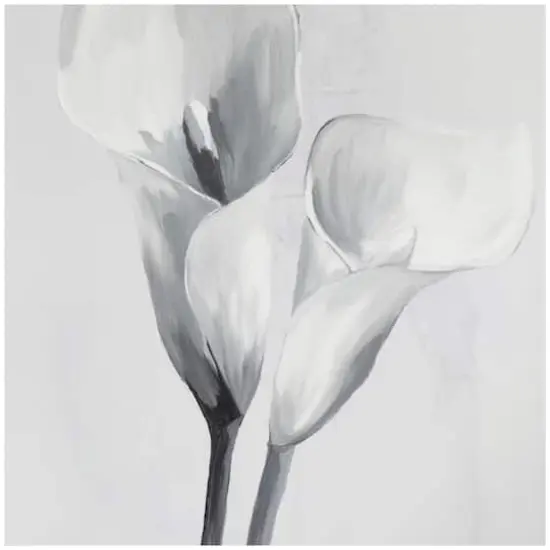 White Canvas Shaded Tulip Floral Framed Wall Art with Black Frame 37" x 1" x 37" {5}
