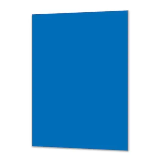 Royal Brites&reg; 20" x 30" Foam Board Blue {1}