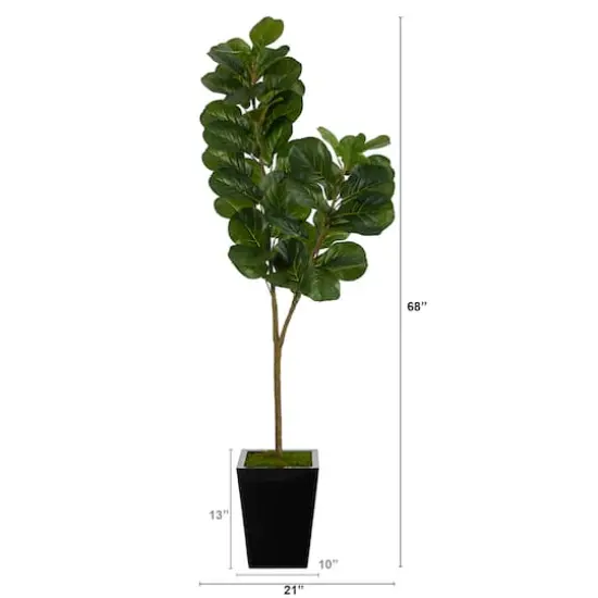 5.5ft. Fiddle Leaf Fig Tree in Black Metal Planter {3}