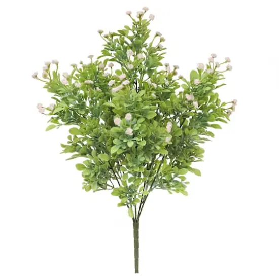 19" Pink Baby's Breath & Boxwood by Ashland&reg; {1}