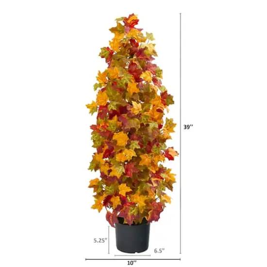 3ft. Potted Autumn Maple Tree {3}