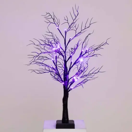 2ft. Pre-Lit LED Deluxe Black Twig Artificial Halloween Tree {12}