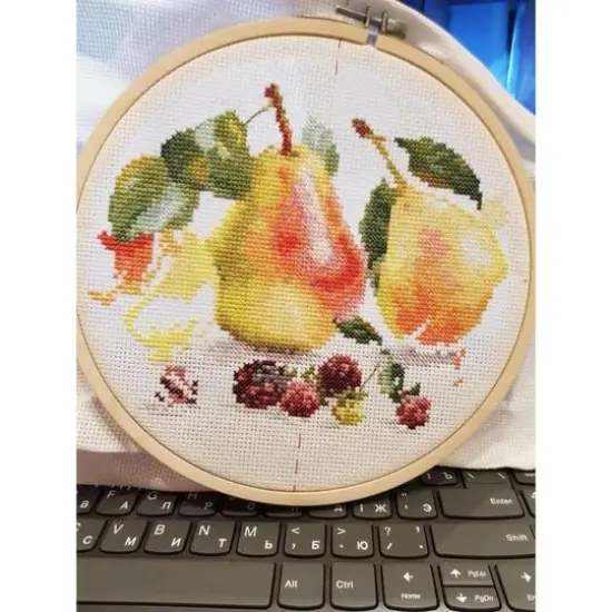 Alisa Pears Cross Stitch Kit {3}