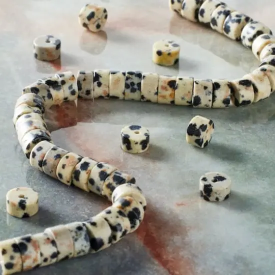 Dalmatian Jasper Heishi Beads, 6mm by Bead Landing&trade; {3}